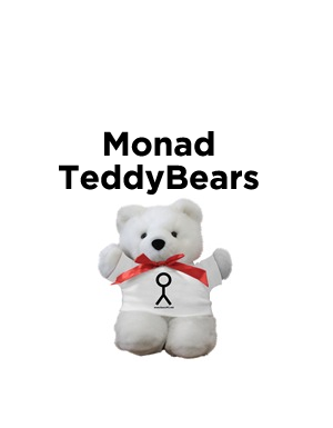 Teddy Bear in Monad T-Shirt